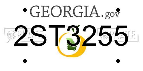 2ST3255 Georgia License Plate