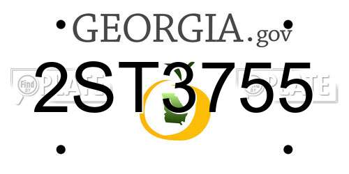 2ST3755 Georgia License Plate