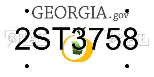 2ST3758 Georgia License Plate