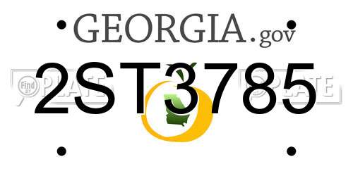 2ST3785 Georgia License Plate