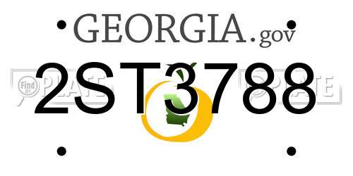 2ST3788 Georgia License Plate