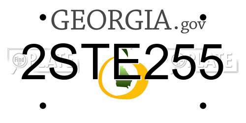 2STE255 Georgia License Plate