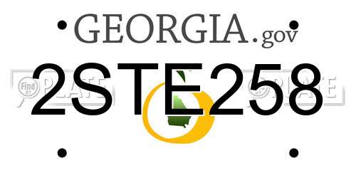 2STE258 Georgia License Plate
