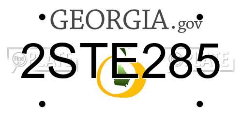 2STE285 Georgia License Plate
