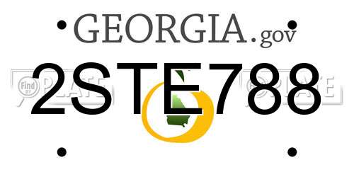 2STE788 Georgia License Plate