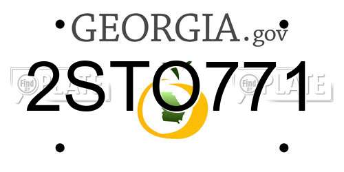 2STO771 Georgia License Plate