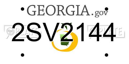 2SV2144 Georgia License Plate