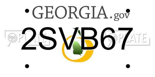 2SVB67 Georgia License Plate