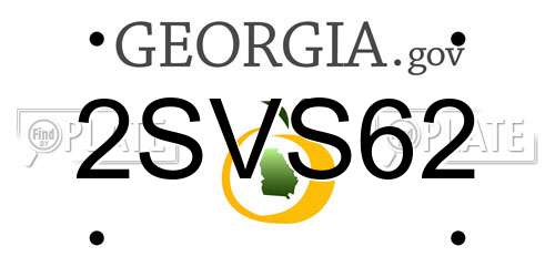 2SVS62 Georgia License Plate