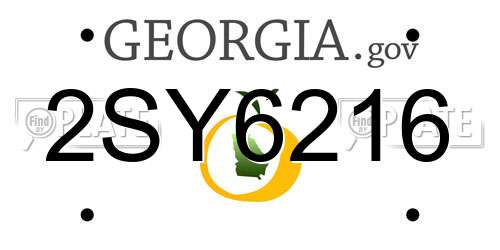 2SY6216 Georgia License Plate