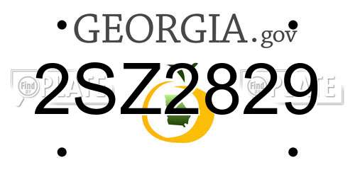 2SZ2829 Georgia License Plate