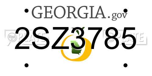 2SZ3785 Georgia License Plate