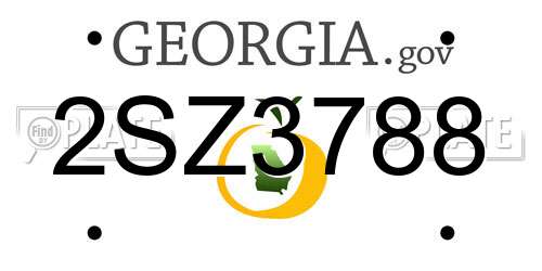 2SZ3788 Georgia License Plate