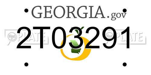 2T03291 Georgia License Plate