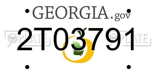 2T03791 Georgia License Plate