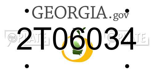 2T06034 Georgia License Plate