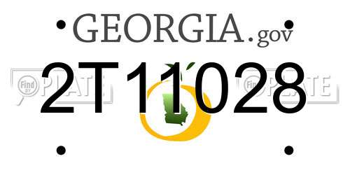2T11028 Georgia License Plate