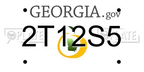 2T12S5 Georgia License Plate