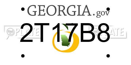 2T17B8 Georgia License Plate