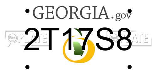 2T17S8 Georgia License Plate