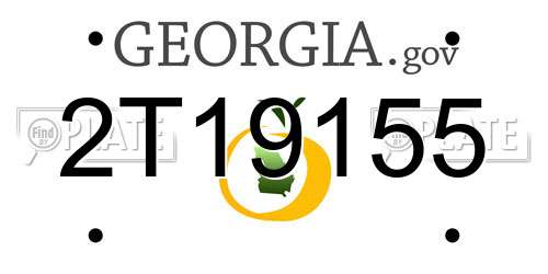 2T19155 Georgia License Plate