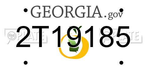 2T19185 Georgia License Plate