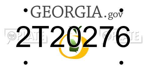 2T20276 Georgia License Plate