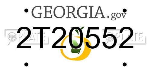 2T20552 Georgia License Plate