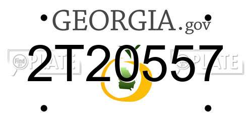 2T20557 Georgia License Plate