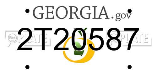 2T20587 Georgia License Plate