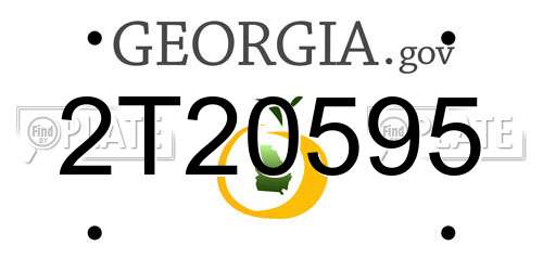 2T20595 Georgia License Plate