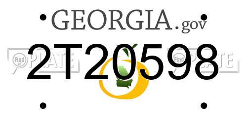 2T20598 Georgia License Plate