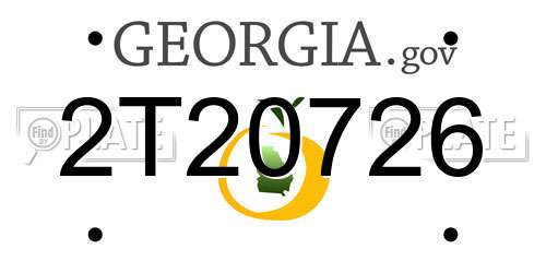 2T20726 Georgia License Plate