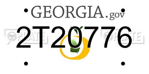2T20776 Georgia License Plate