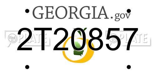 2T20857 Georgia License Plate