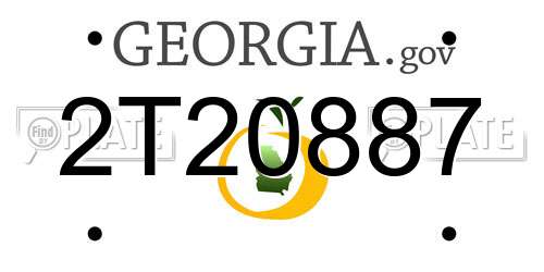 2T20887 Georgia License Plate