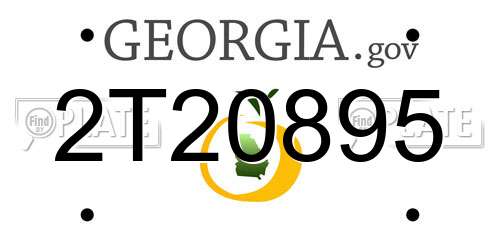 2T20895 Georgia License Plate