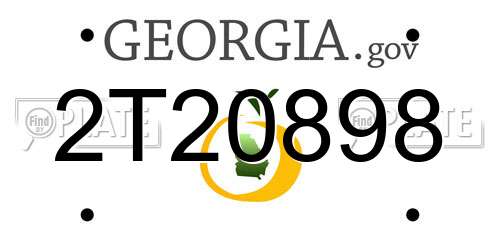 2T20898 Georgia License Plate