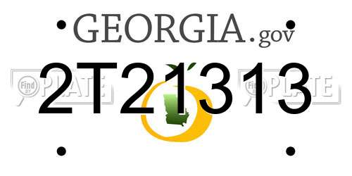 2T21313 Georgia License Plate