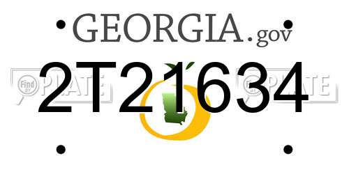 2T21634 Georgia License Plate