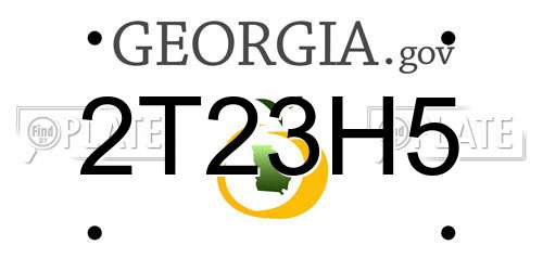 2T23H5 Georgia License Plate