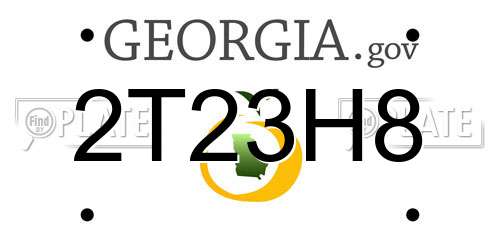2T23H8 Georgia License Plate