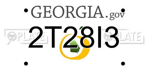 2T28I3 Georgia License Plate