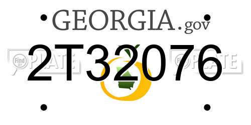 2T32076 Georgia License Plate