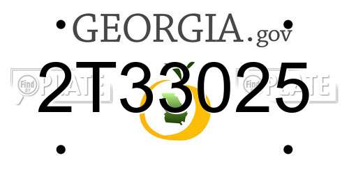 2T33025 Georgia License Plate