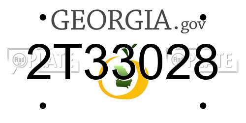 2T33028 Georgia License Plate