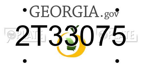 2T33075 Georgia License Plate