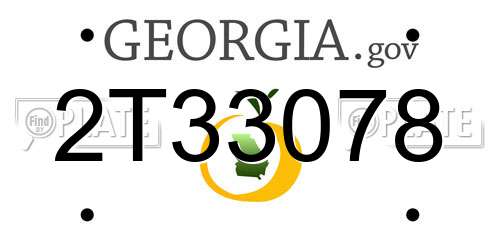 2T33078 Georgia License Plate