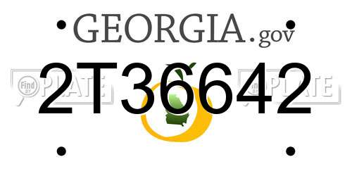 2T36642 Georgia License Plate
