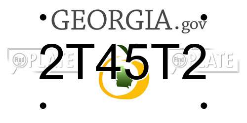 2T45T2 Georgia License Plate